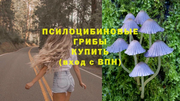 эйфоретик Магадан