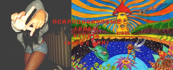 каннабис Магас
