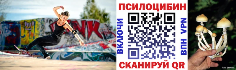Галлюциногенные грибы Cubensis  дарнет шоп  Нижневартовск 