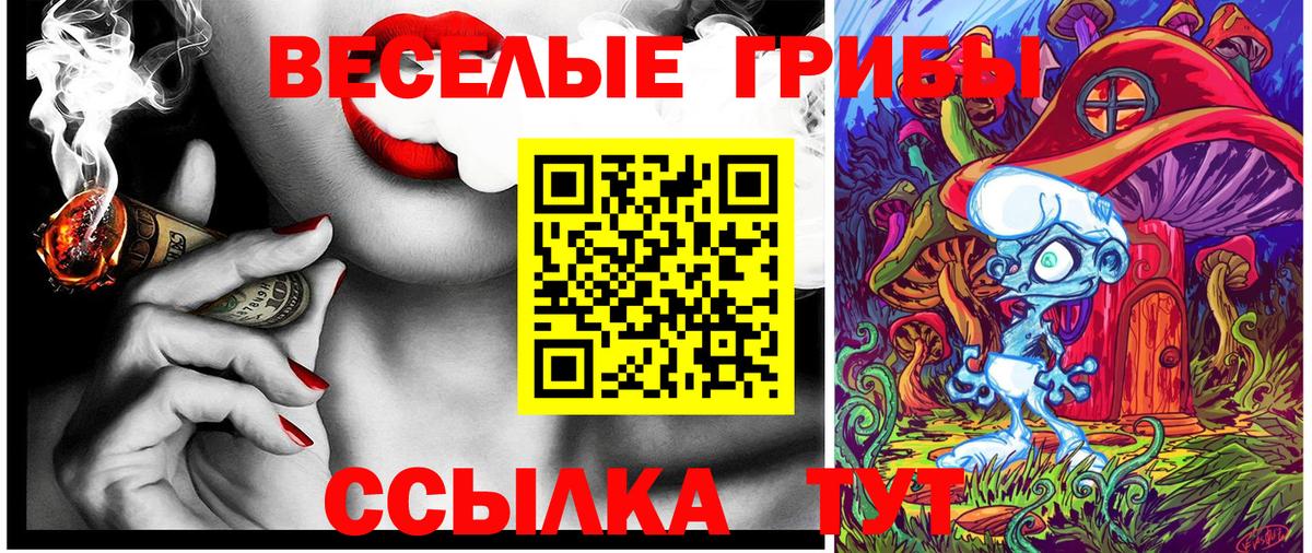 Галлюциногенные грибы мицелий  что такое   Вход с VPN  Нижневартовск  Галлюциногенные грибы мицелий 